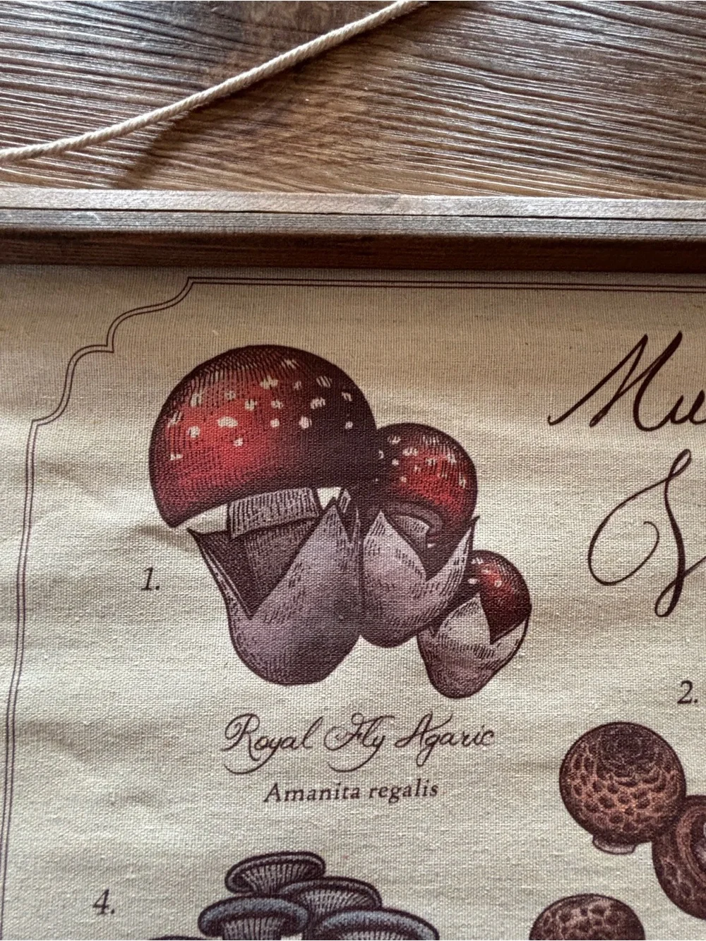 Mushrooms of the World Wall Hanging - Neutral Brown Canvas